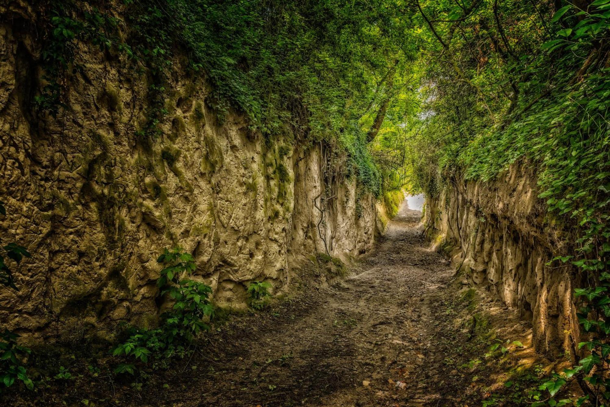 Dreilaendereck Am Kaiserstuhl Wasenweiler Bagian luar foto