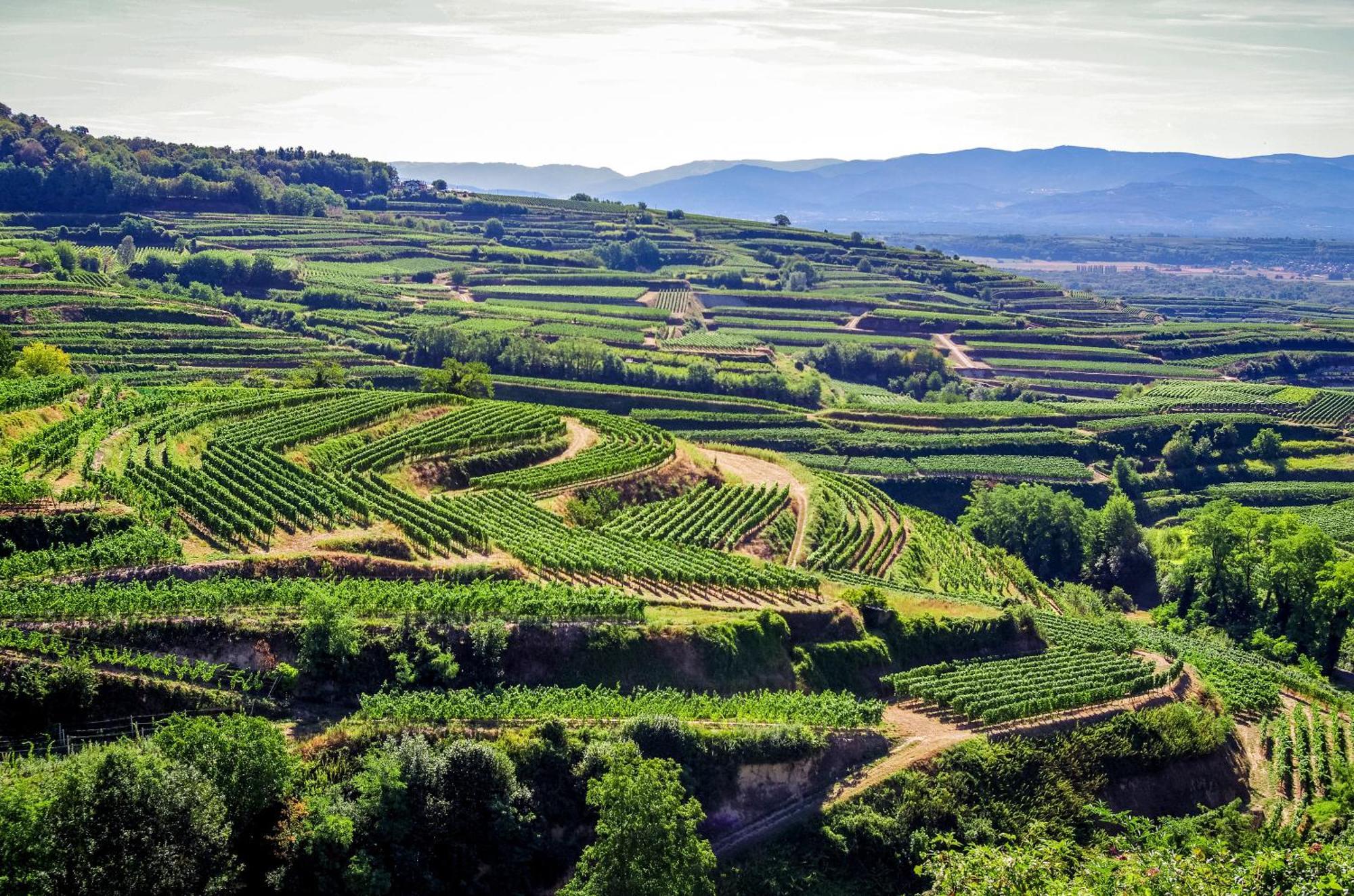 Dreilaendereck Am Kaiserstuhl Wasenweiler Bagian luar foto